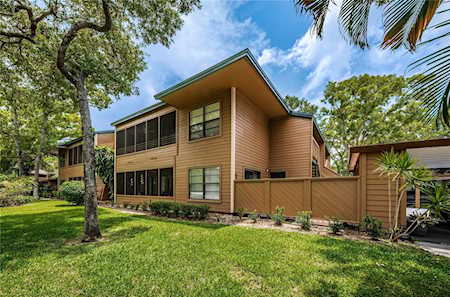 903 Lennox Rd W Palm Harbor, FL 34683