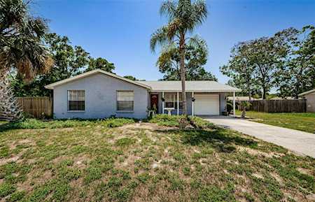 1016 Coldstream Ct Tarpon Springs, FL 34689