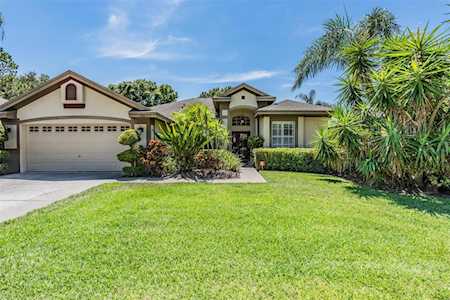 570 Equine Dr Tarpon Springs, FL 34688