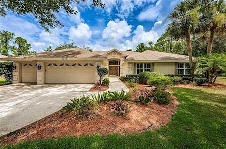 3917 Saywood Ct Palm Harbor, FL 34685