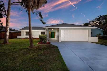 6515 Solitaire Palm WAY Apollo Beach, FL 33572