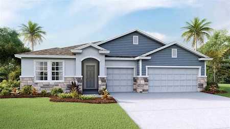 33531 Hamilton Hill Ln Wesley Chapel, FL 33545
