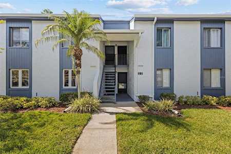 124 Cypress Ln #124 Oldsmar, FL 34677