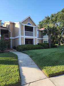9481 Highland Oak Dr #515 Tampa, FL 33647
