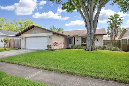 1335 Homestead Dr Palm Harbor, FL 34683