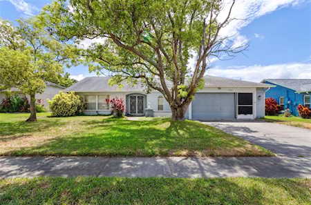 7351 Ashmore Dr New Port Richey, FL 34653