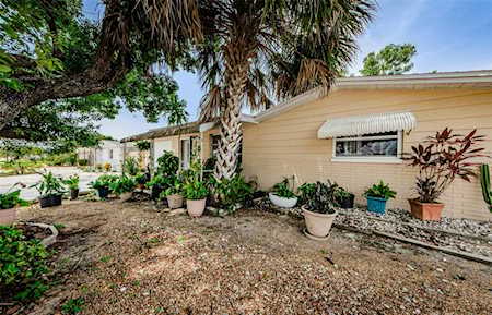 4923 Gaslight Ave Holiday, FL 34690