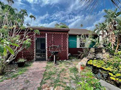 460 Hibiscus Ln N Dunedin, FL 34698
