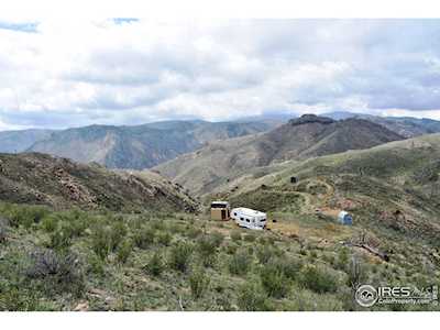 302 Red Mountain Ct Livermore, CO 80536