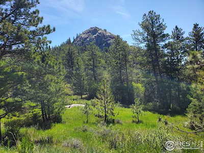 272 Haystack Dr Livermore, CO 80536