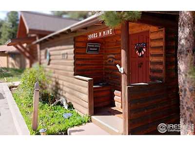 775 Riverside Dr Estes Park, CO 80517