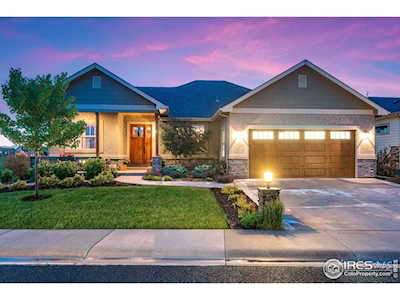 3731 Peruvian Torch Dr Loveland, CO 80537