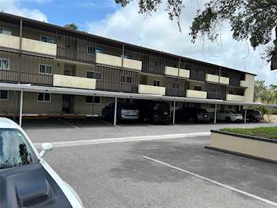 1247 S Martin Luther King Jr Ave #207 Clearwater, FL 33756