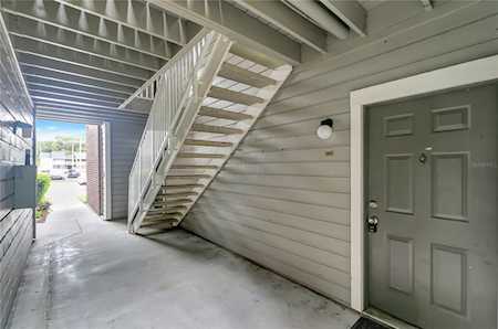 1400 Gandy Blvd N #211 St. Petersburg, FL 33702