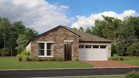 9838 Carabiner WAY Land O Lakes, FL 34637
