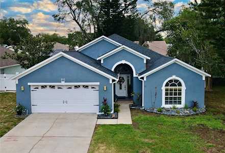 815 Duval Ct Safety Harbor, FL 34695