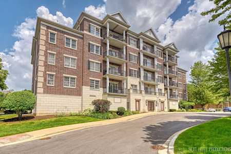 446 Mcdaniels Circle #403 Clarendon Hills, IL 60514