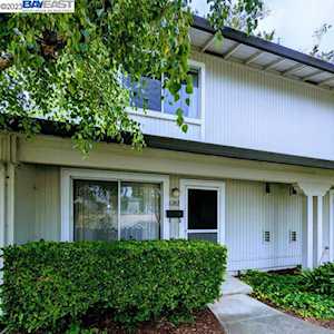 6202 Cedar Blvd Newark, CA 94560