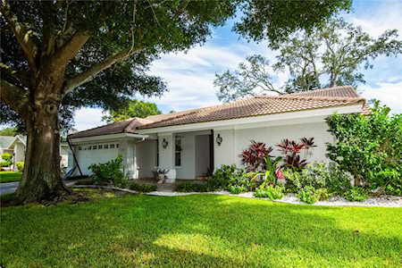 24 Ridgecroft Ln Safety Harbor, FL 34695