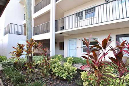 845 Maple Ct #206 Dunedin, FL 34698