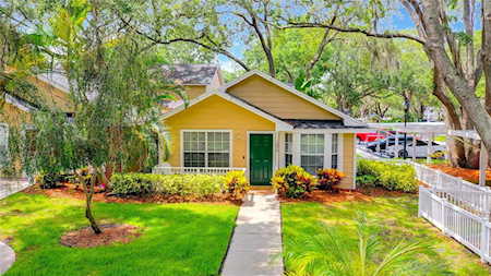 3050 Pointer Dr Palm Harbor, FL 34683