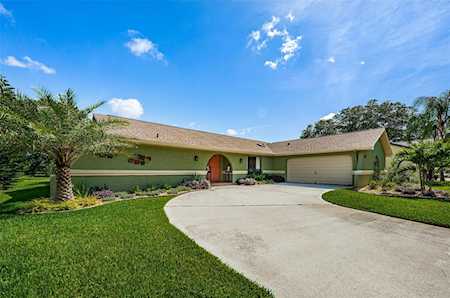 3362 Pattie PLACE Palm Harbor, FL 34685