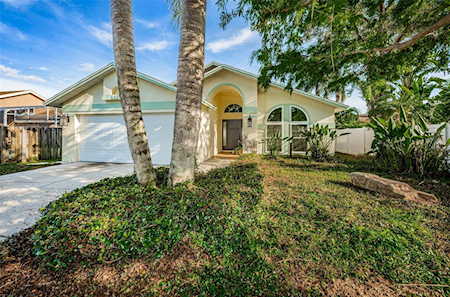 1305 Woodcrest Ave Safety Harbor, FL 34695