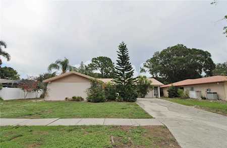 2807 Forest View Dr Clearwater, FL 33761