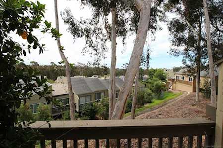 10537 Caminito Memosac San Diego, CA 92131