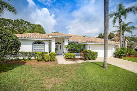 932 Belted Kingfisher Dr S Palm Harbor, FL 34683