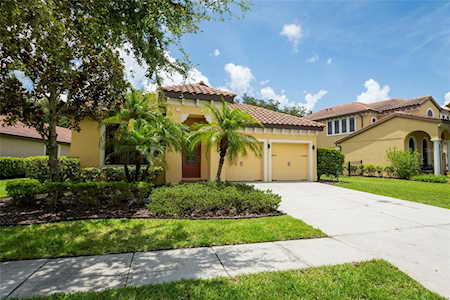 20322 Chestnut Grove Dr Tampa, FL 33647