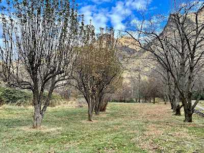 127 & 129 Seven Devils Road Riggins, ID 83549