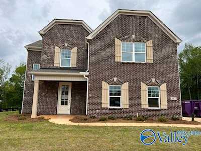 317 Creek Grove Avenue New Market, AL 35761