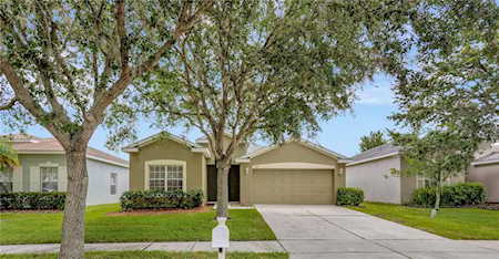 1607 Emerald Hill Way Valrico, FL 33594