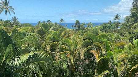 3200 Wailea Alanui Dr #2304 Kihei, HI 96753