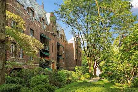 20 N Broadway #I-141 White Plains, NY 10601