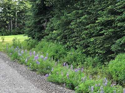 L17-18 B4 Interlake Dr Nikiski/North Kenai, AK 99611