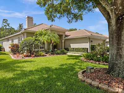 5099 Pinnacle Dr Oldsmar, FL 34677