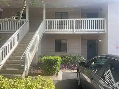 3705 Greenery Ct #105 Tampa, FL 33618