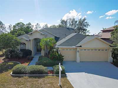 1152 Riveredge Dr Tarpon Springs, FL 34689