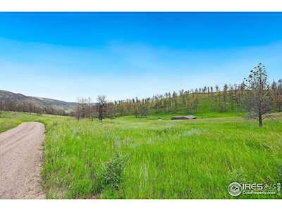 1319 Stringtown Gulch Rd Bellvue, CO 80512