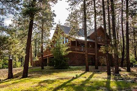 454 W Log Hill Road Pagosa Springs, CO 81147