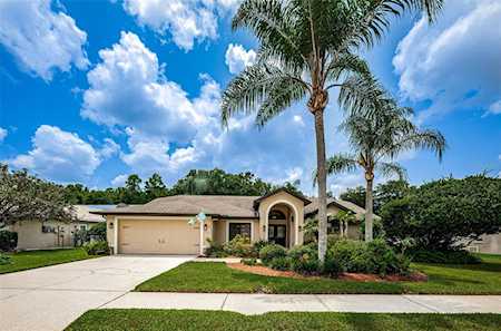 1715 Percheron Dr Trinity, FL 34655