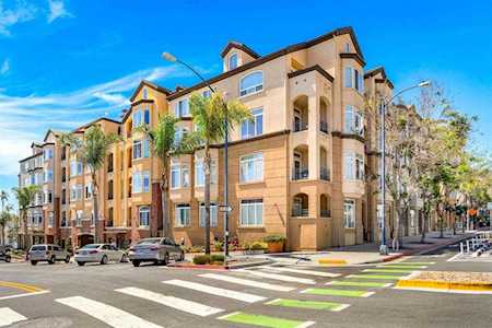 2400 5th Ave #408 San Diego, CA 92101