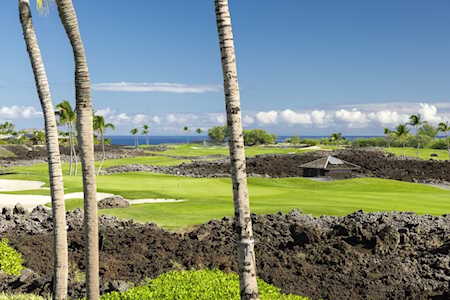 68-1035 Ke Kailani Dr Kamuela, HI 96743