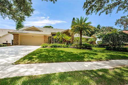 3538 Shoreline CIRCLE Palm Harbor, FL 34684