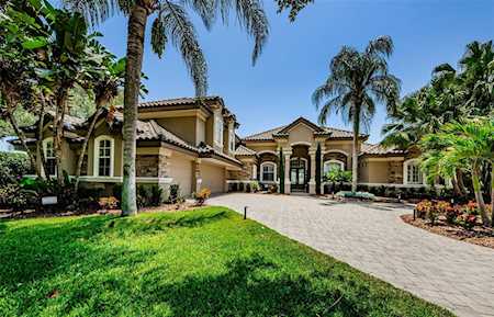 9643 Milano Dr Trinity, FL 34655