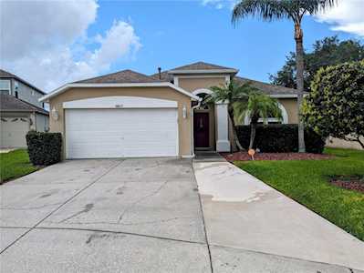 10627 Firebrick Ct Trinity, FL 34655