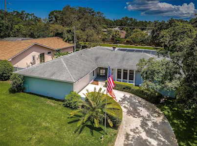 1907 Highview Dr Palm Harbor, FL 34683