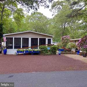 34956 North Dr #48786 Lewes, DE 19958